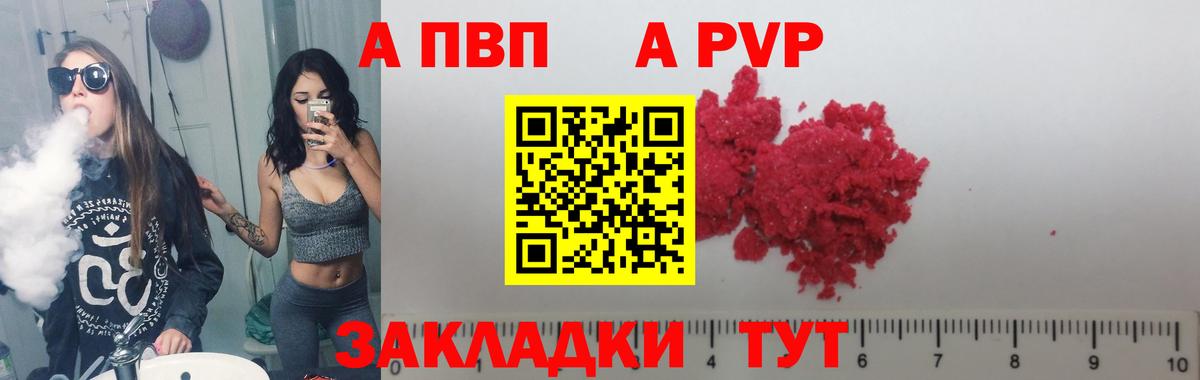 Альфа ПВП Гудермес
