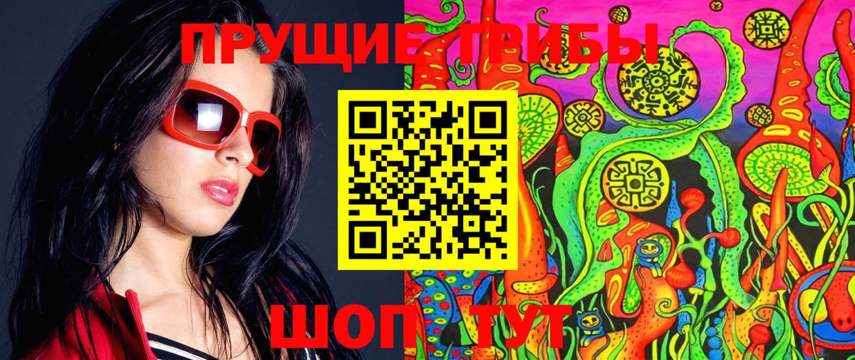 Псилоцибиновые грибы GOLDEN TEACHER Гудермес