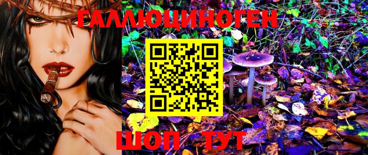 Псилоцибиновые грибы MAGIC MUSHROOMS  Вход с VPN  Гудермес 